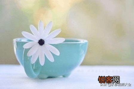 有哪些在低谷时期给你鼓励的句子？