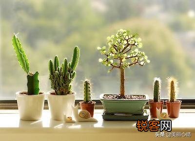 有哪些在低谷时期给你鼓励的句子？