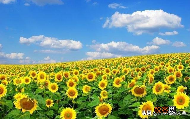 有哪些在低谷时期给你鼓励的句子？