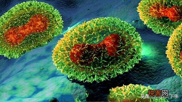 除去黑死病,历史上有哪些同时在中国与世界流行的大瘟疫？