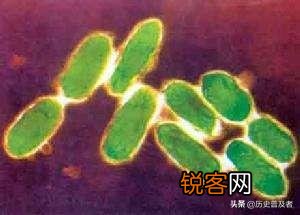 除去黑死病,历史上有哪些同时在中国与世界流行的大瘟疫？