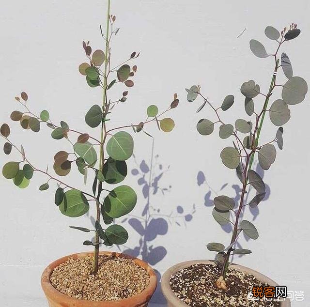 你觉得如果让你抛开一切束缚去创业,你会选择哪一个行业去闯荡？为什么？