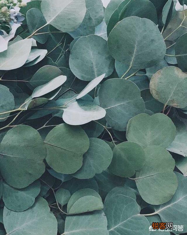 你觉得如果让你抛开一切束缚去创业,你会选择哪一个行业去闯荡？为什么？