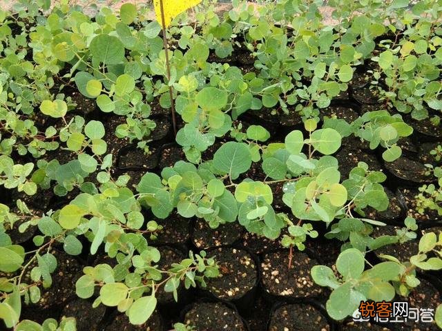 你觉得如果让你抛开一切束缚去创业,你会选择哪一个行业去闯荡？为什么？