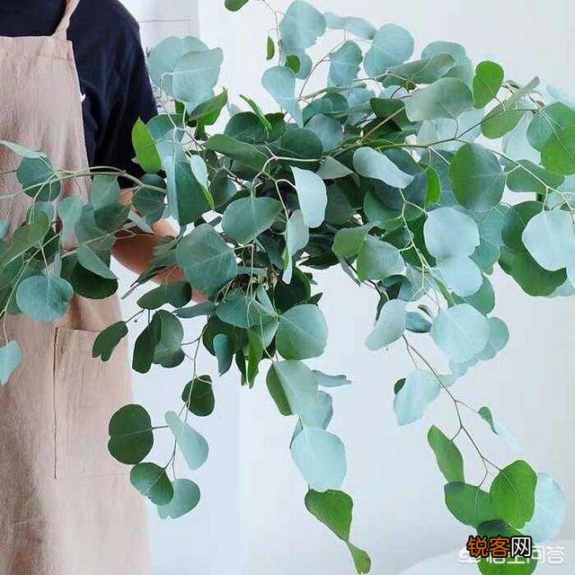 你觉得如果让你抛开一切束缚去创业,你会选择哪一个行业去闯荡？为什么？