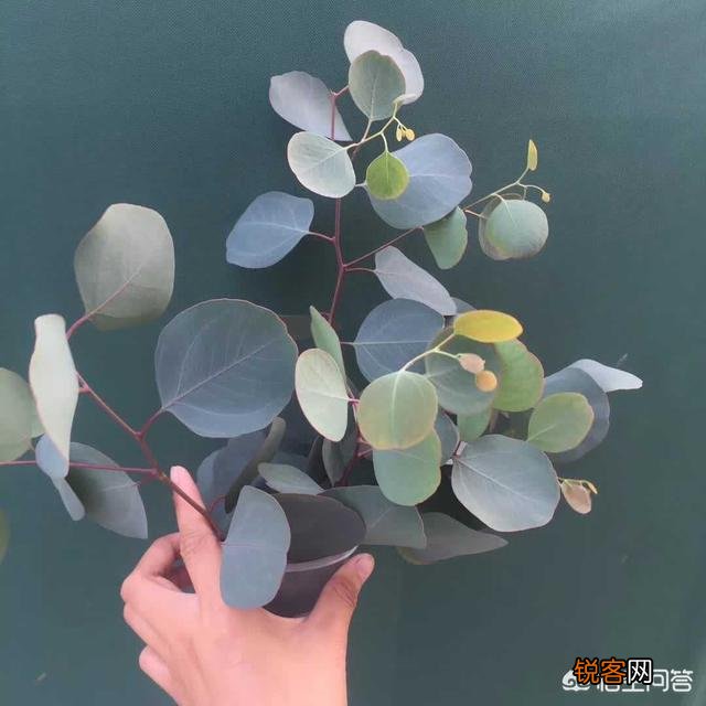 你觉得如果让你抛开一切束缚去创业,你会选择哪一个行业去闯荡？为什么？