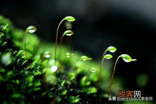 初中历史都讲到世界现代史了,那么高中历史主要学什么？