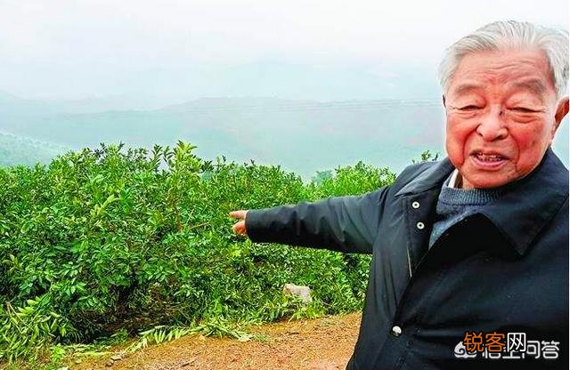 你如何理解王石说过的：“一个人的成功不是财富,而是跌落谷底的反弹力”？