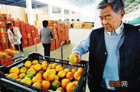 当你经历过一些人生的世故以后,该怎样重新开始呢？