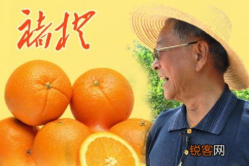褚橙的价格那么贵,为什么销量还那么好？