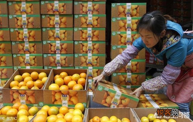 褚橙的价格那么贵,为什么销量还那么好？