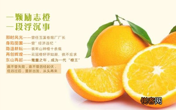 褚橙的价格那么贵,为什么销量还那么好？
