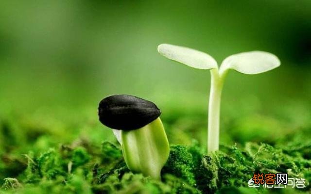 男人到40岁如果没有成就,是不是这辈子就完了？