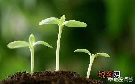 男人到40岁如果没有成就,是不是这辈子就完了？