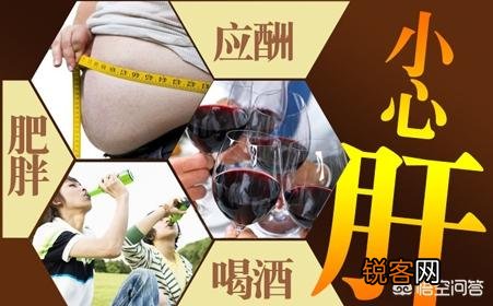 引起酒精肝的原因？