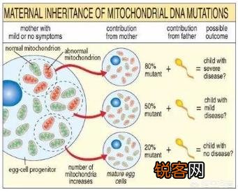线粒体遗传病的特点是是什么？