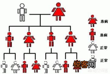 线粒体遗传病的特点是是什么？