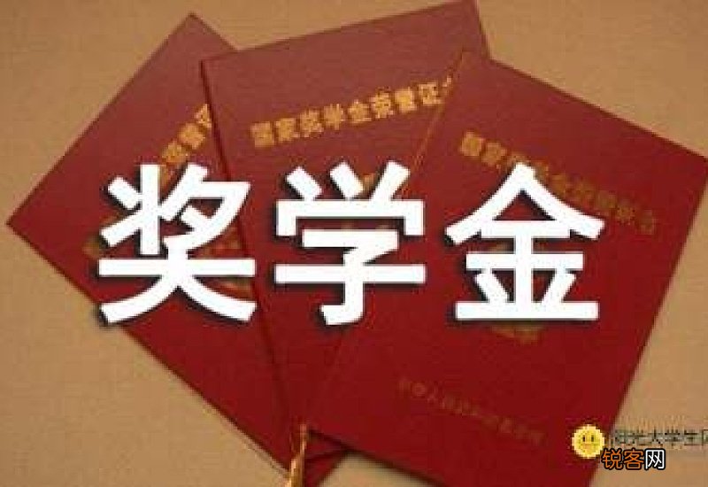大学生励志奖学金申请书