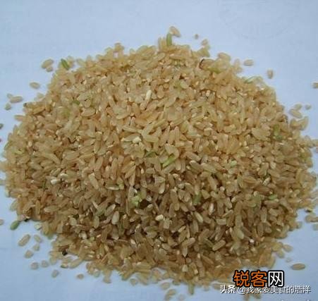 糙米营养在哪里？糙米应该怎么煮？