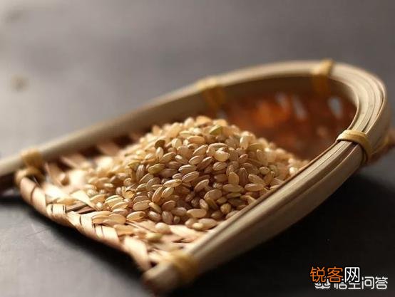 糙米怎么做好吃？