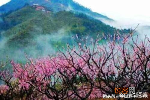 怎么用“山青水秀人杰地灵”写一首藏头诗？