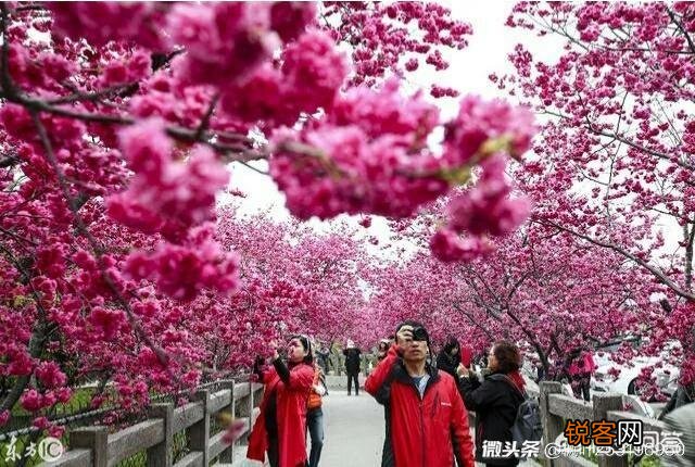 怎么用“山青水秀人杰地灵”写一首藏头诗？