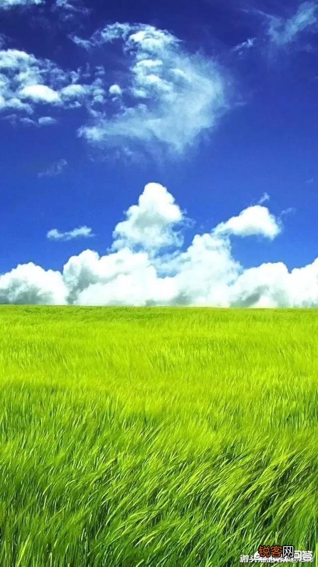 怎么用“山青水秀人杰地灵”写一首藏头诗？