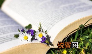 关于勤学好问的成语五个 关于勤学好问的成语举例