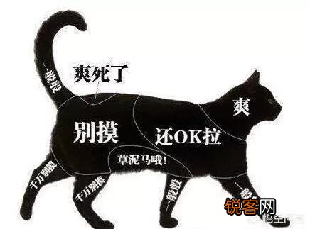 管理型人才和技术型人才有什么不一样,当前社会急需哪种人才？