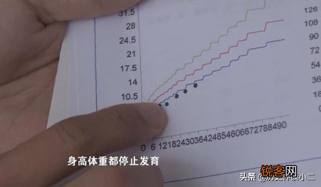 “大头娃娃”假奶粉处理结果,经销商被罚200万,对结果满意吗？