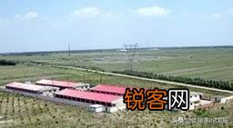 建一个500头猪的养猪场大概需要多少钱,怎么算的？