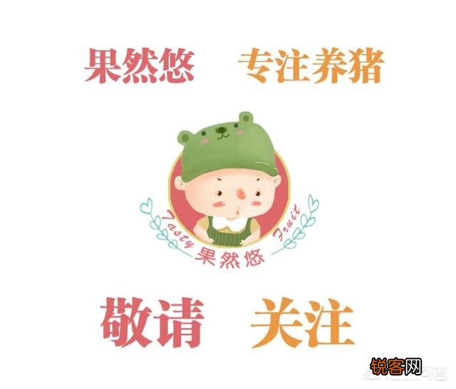 农村养猪投资3-5万可以起来吗？
