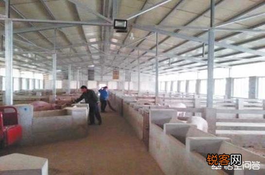 100头内 现在想投资建个小规模养猪场,该怎样入手,国家有何优惠政策？