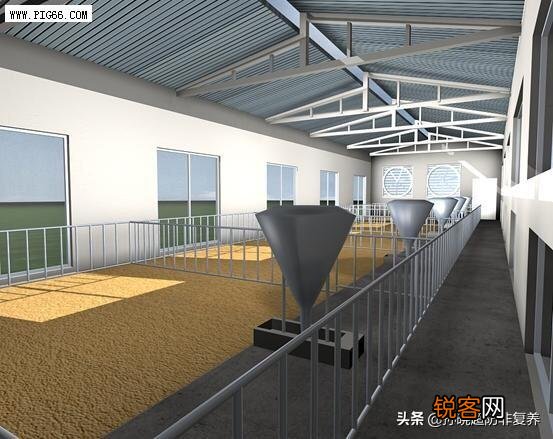建一个小牧原养猪场,养1000头猪的猪舍要多少钱？