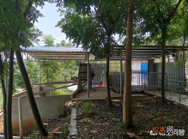 朋友提意投资合建个母猪场。前景如何？有懂行的吗？