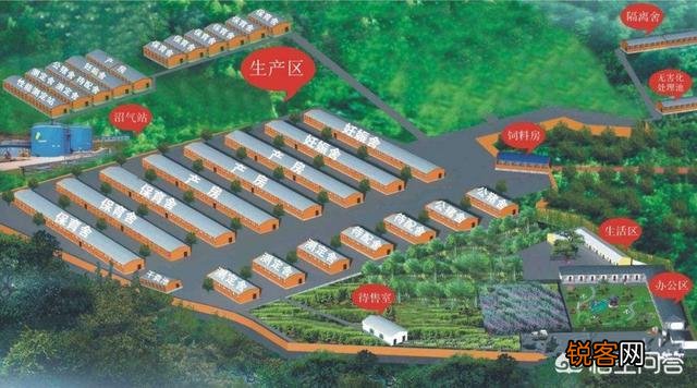 在农村搞养猪场年出栏1000头可行吗？资金要多少呢？