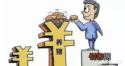 在农村搞养猪场年出栏1000头可行吗？资金要多少呢？