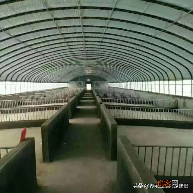 100万启动资金,准备投资养猪,是建猪场好,还是租猪场好？