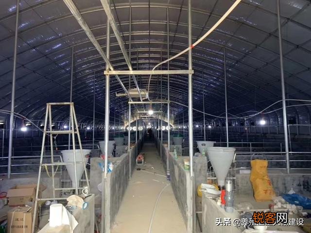 100万启动资金,准备投资养猪,是建猪场好,还是租猪场好？