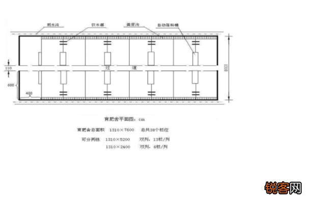 建5OOO平方米养猪场需要多少资金？