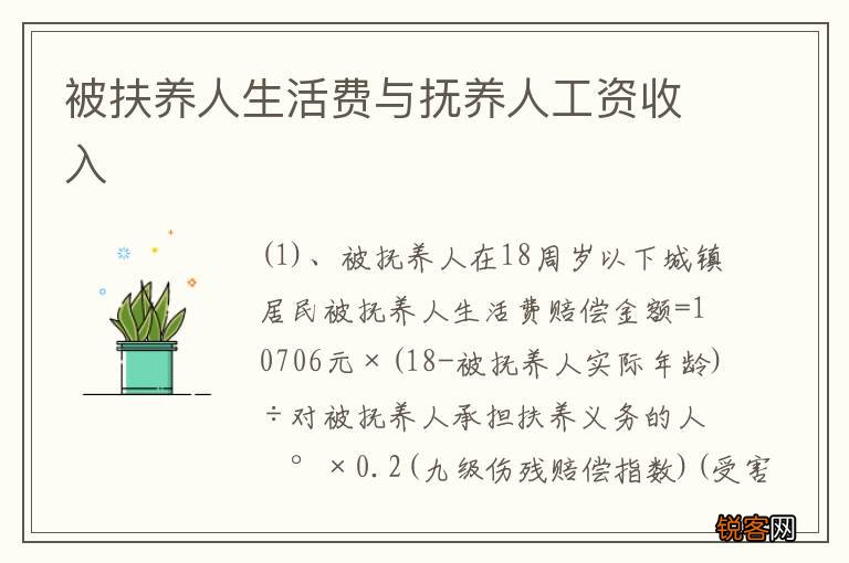 被扶养人生活费与抚养人工资收入