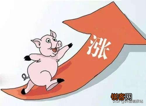 2020年养猪的行情如何？养100头猪要投入多少钱呢？