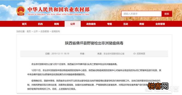 现在准备筹建一个年出栏4000头的生猪养猪场,前景会如何？