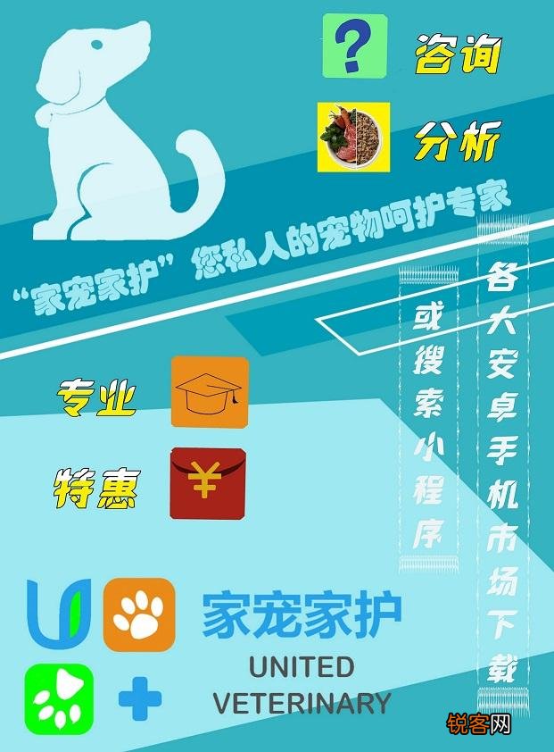 既聪明,说话又好的鹦鹉,哪几个品种比较好呢？