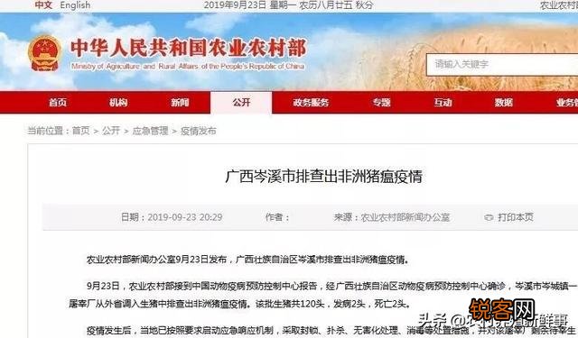 现在投资50万去养猪还来得及吗？