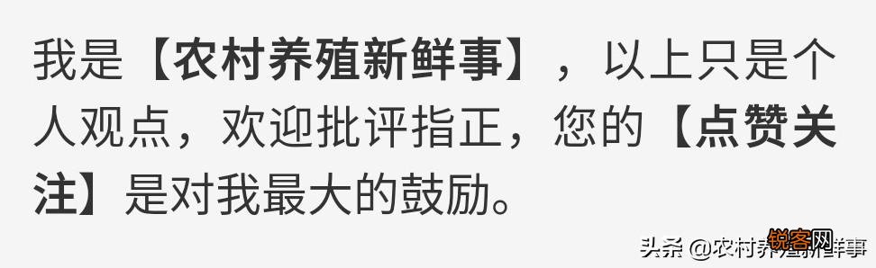 现在投资50万去养猪还来得及吗？