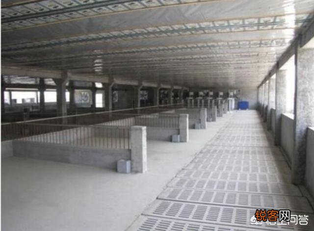 猪场的建设都需要主要哪些方面？建设一个能容纳100头左右的猪场大约要投资多少资金？