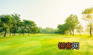 凉风有信风月无边是什么意思 凉风有信风月无边的意思