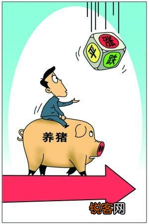 如果投资养猪场,有两百头的规模,能几年回本？为什么？