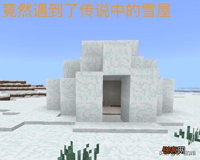 《我的世界》中有哪些生物群系？它们分别有哪些特有的建筑和生物？